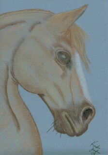Colored Horse