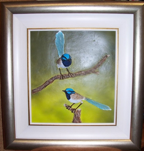 Superb Fairy Wrens