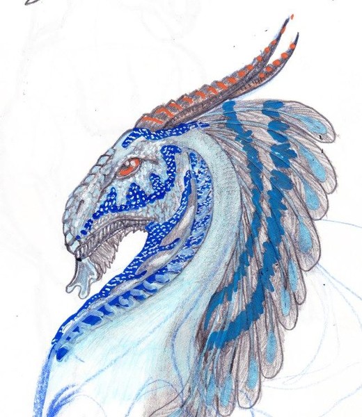 Dragon head