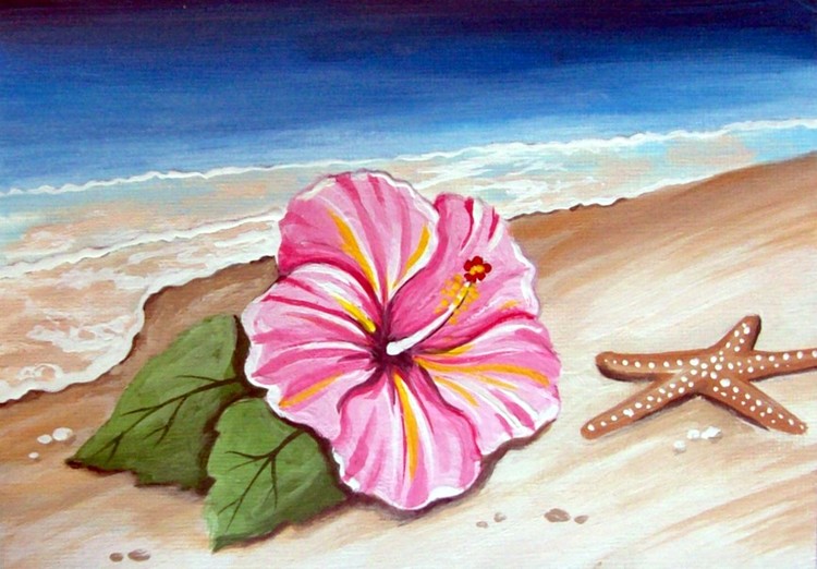 Hibiscus On Shore