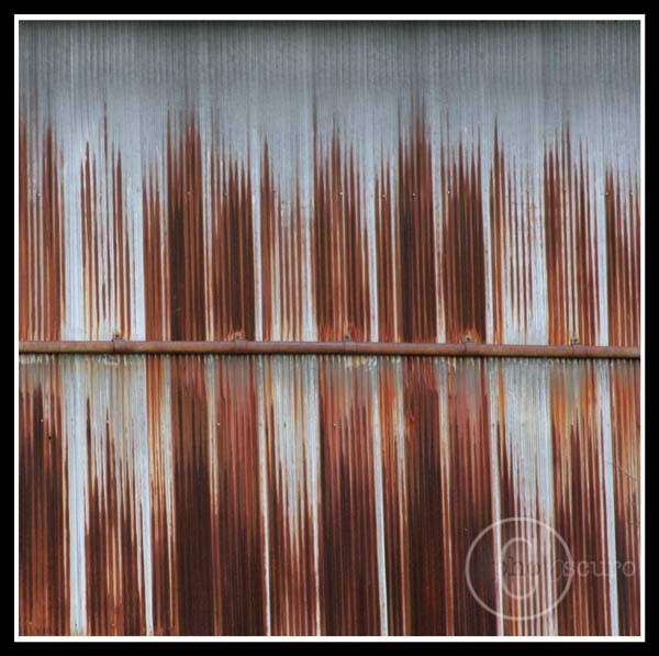 Untitled 1
