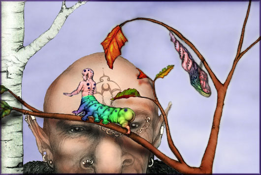 Fairy Catapillar and Mage