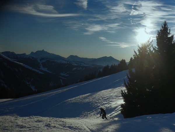 Last skier