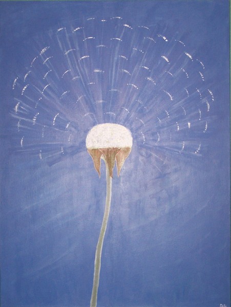 Aspire