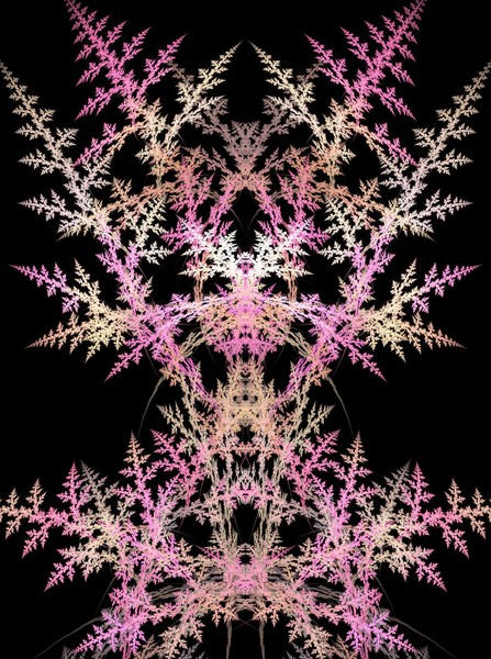 Plants 6