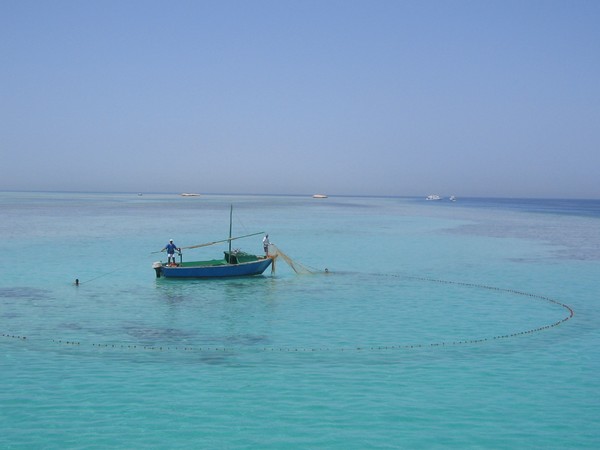 fishing in the red sea