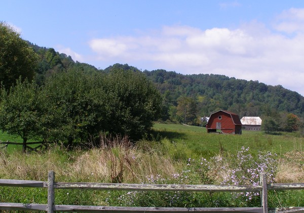 Country Scene