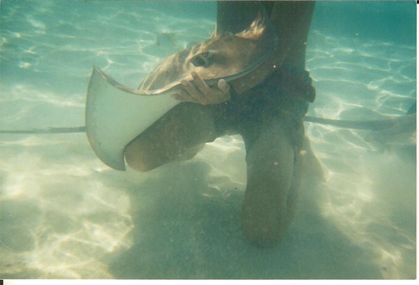 Holding a frend