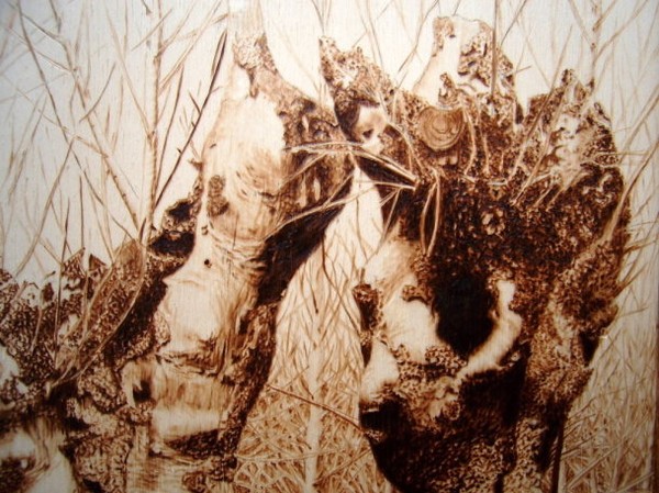 Galapagos landscape (detail)