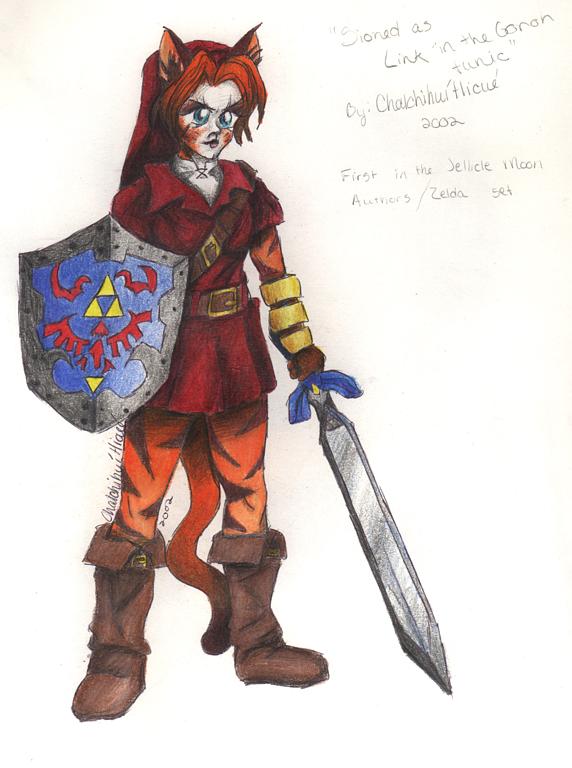 Sioned as Link
