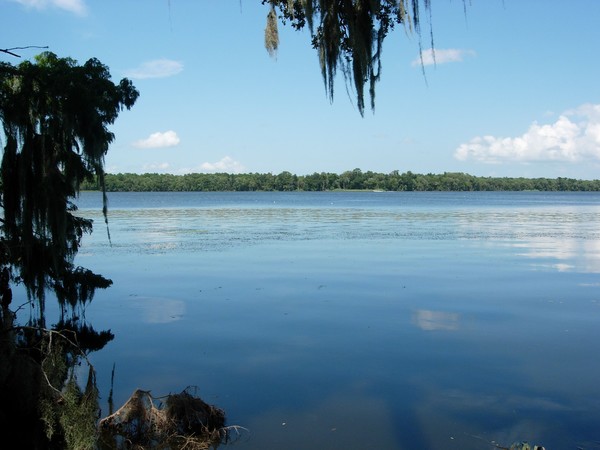 The St Johns River