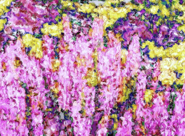 Bed of Flowers