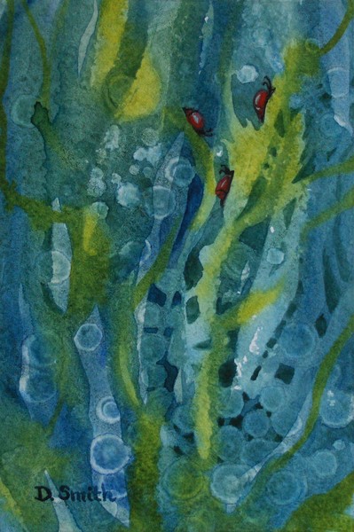 Kelp Forest