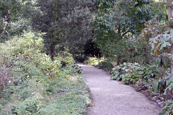 The path