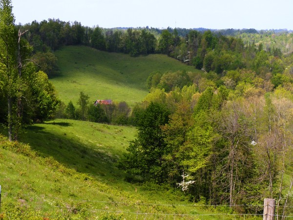 The fields below