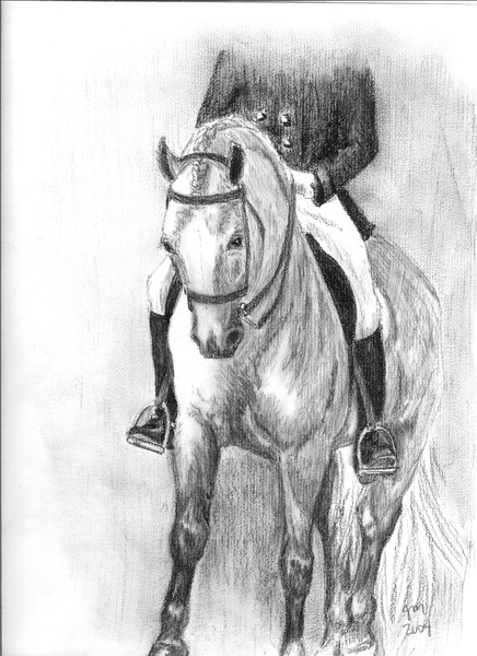 Dressage