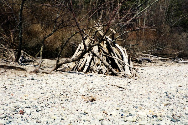 Wood Stand On Beach