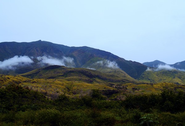Maui Spirits