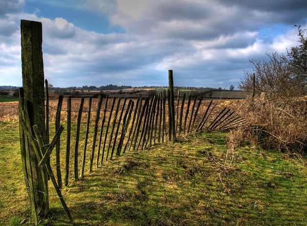 The green fence of the green fields.