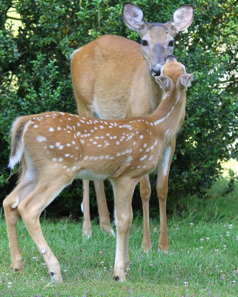 Mother and child
