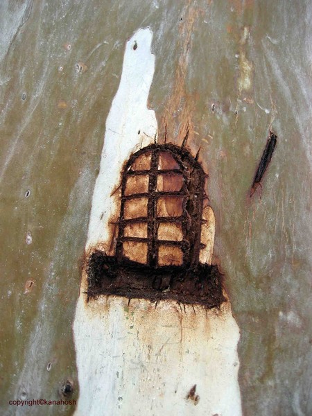 A window