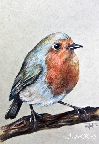 Erithacus Rubecula