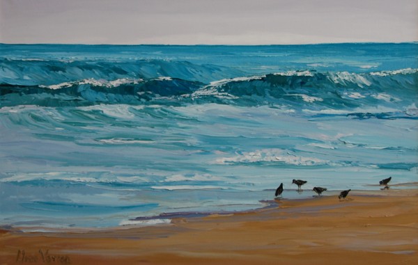 Sand Pipers at Plum Island