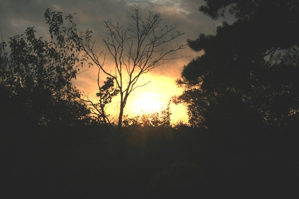 Early Sunrise