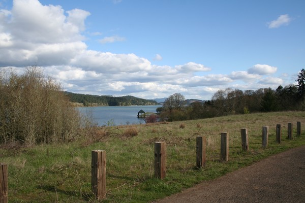 Picture_004