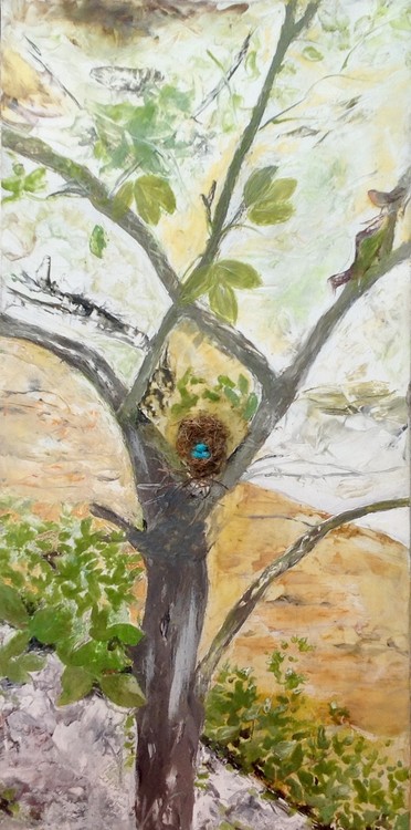 Robins nest 