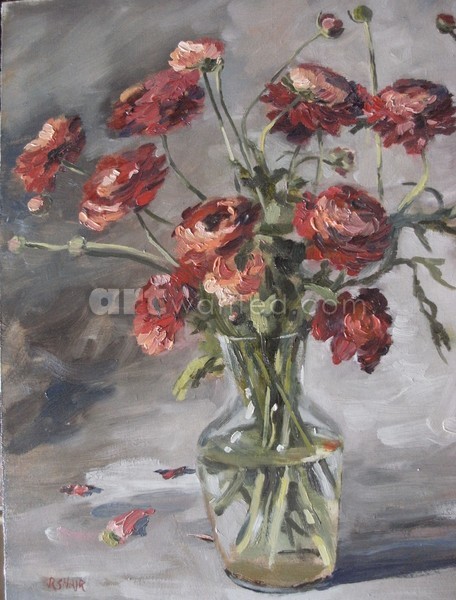 Ranunculus in glass jar