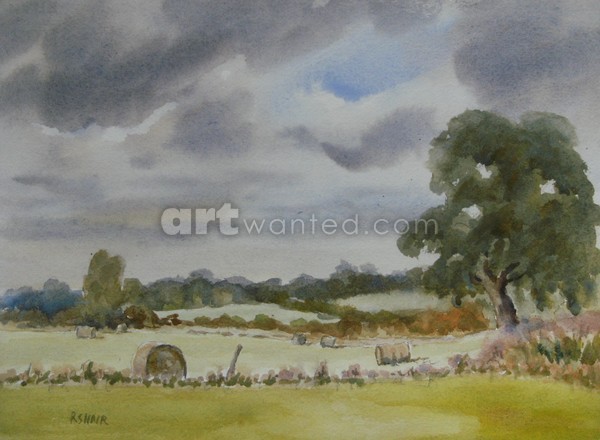 Summertime Buckinghamshire