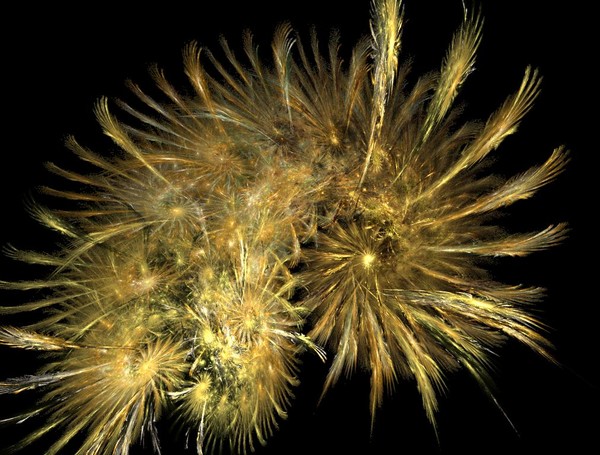 Fuzzy Wuzzy