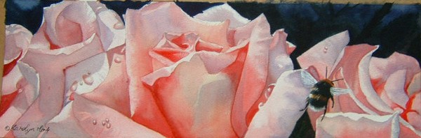 roses and bee
