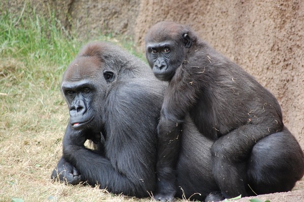Mother and Child