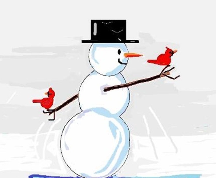 0asnowman2cardinals