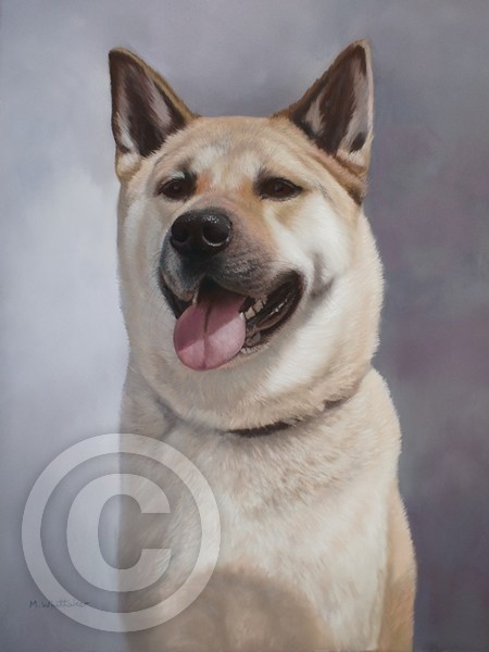 Japanese Akita