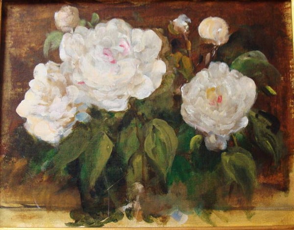 From the Garden