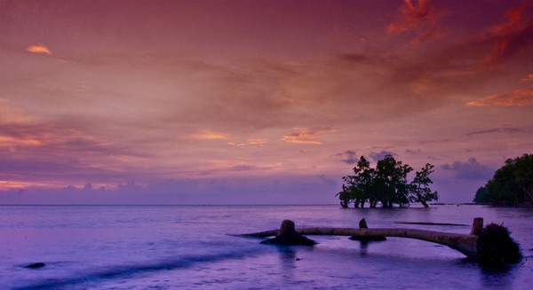 Evening