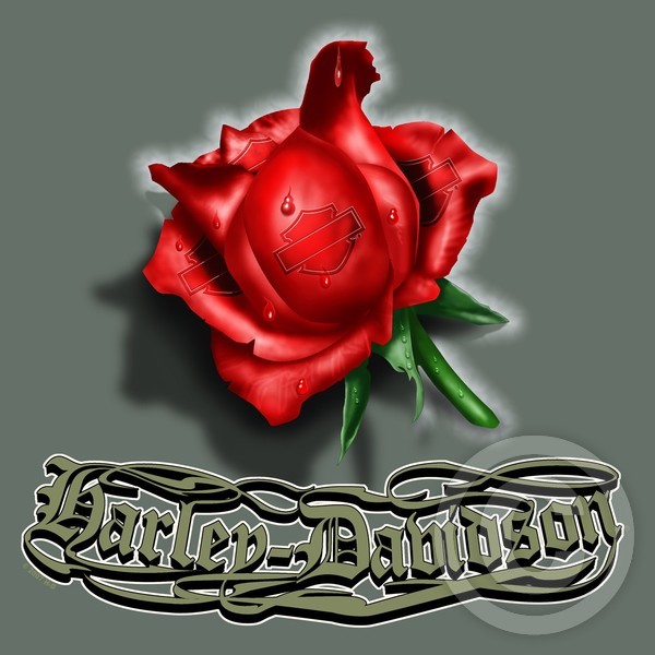 RED ROSE