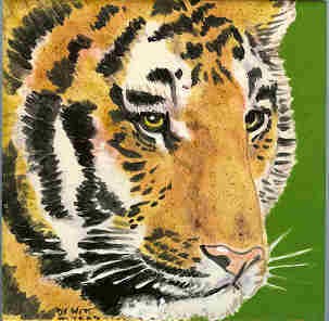Tiger Tiger,...