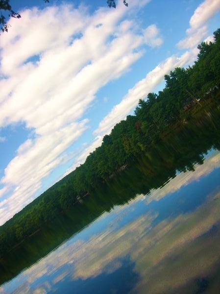 reflect