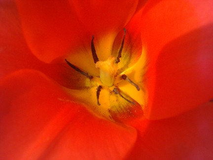 Center of Being
