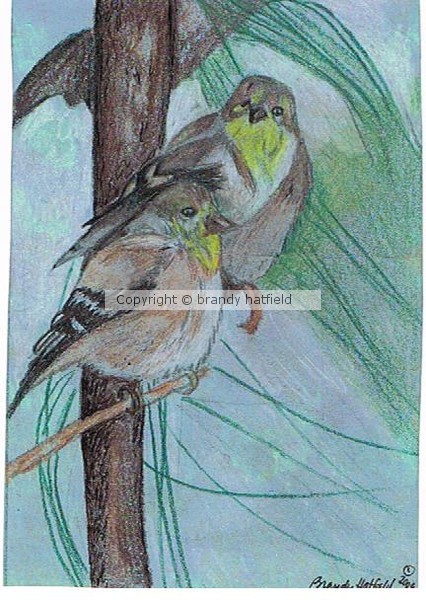 Two Birds