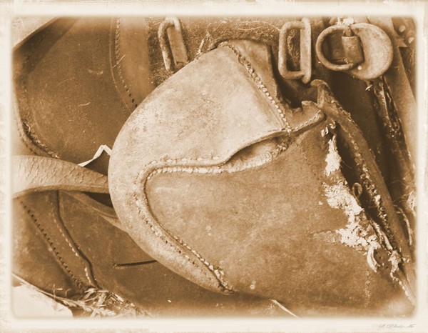 Old Stock Saddle