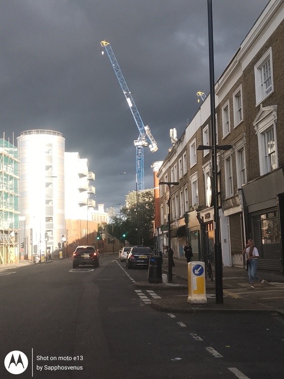 Crane life
