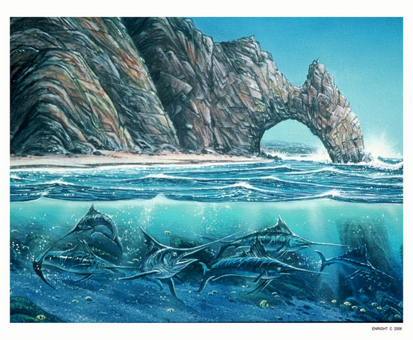  Fishing in Baja