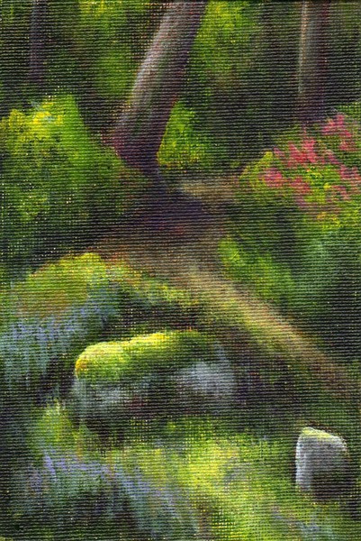 Kelsey Arboretum -Heather Patch