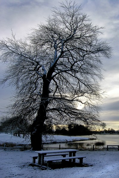 Winter Park. Walk.