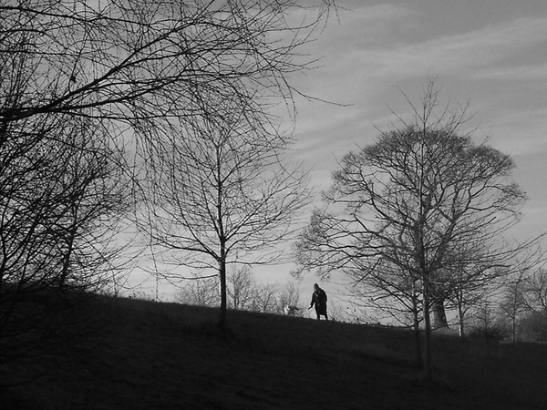 Walking the Dog